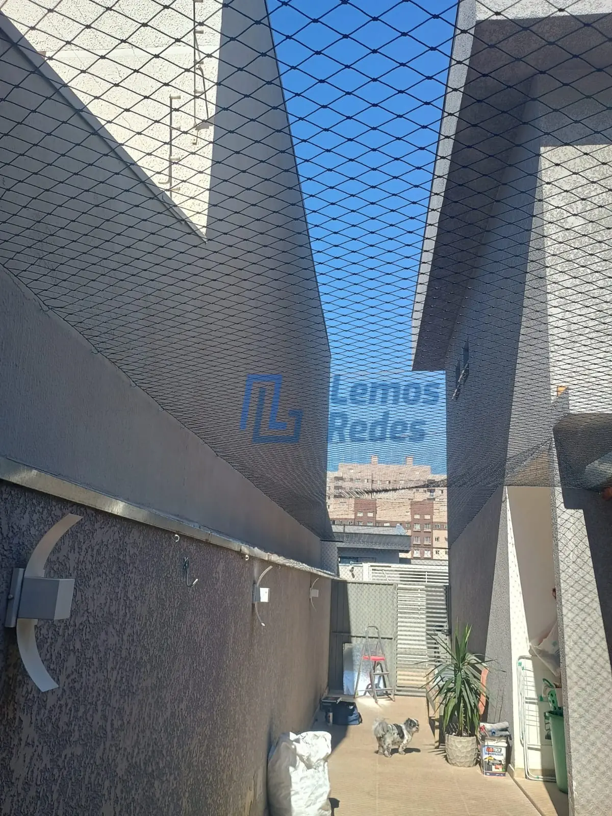 Rede Antifuga para Gatos, Redes Lemos