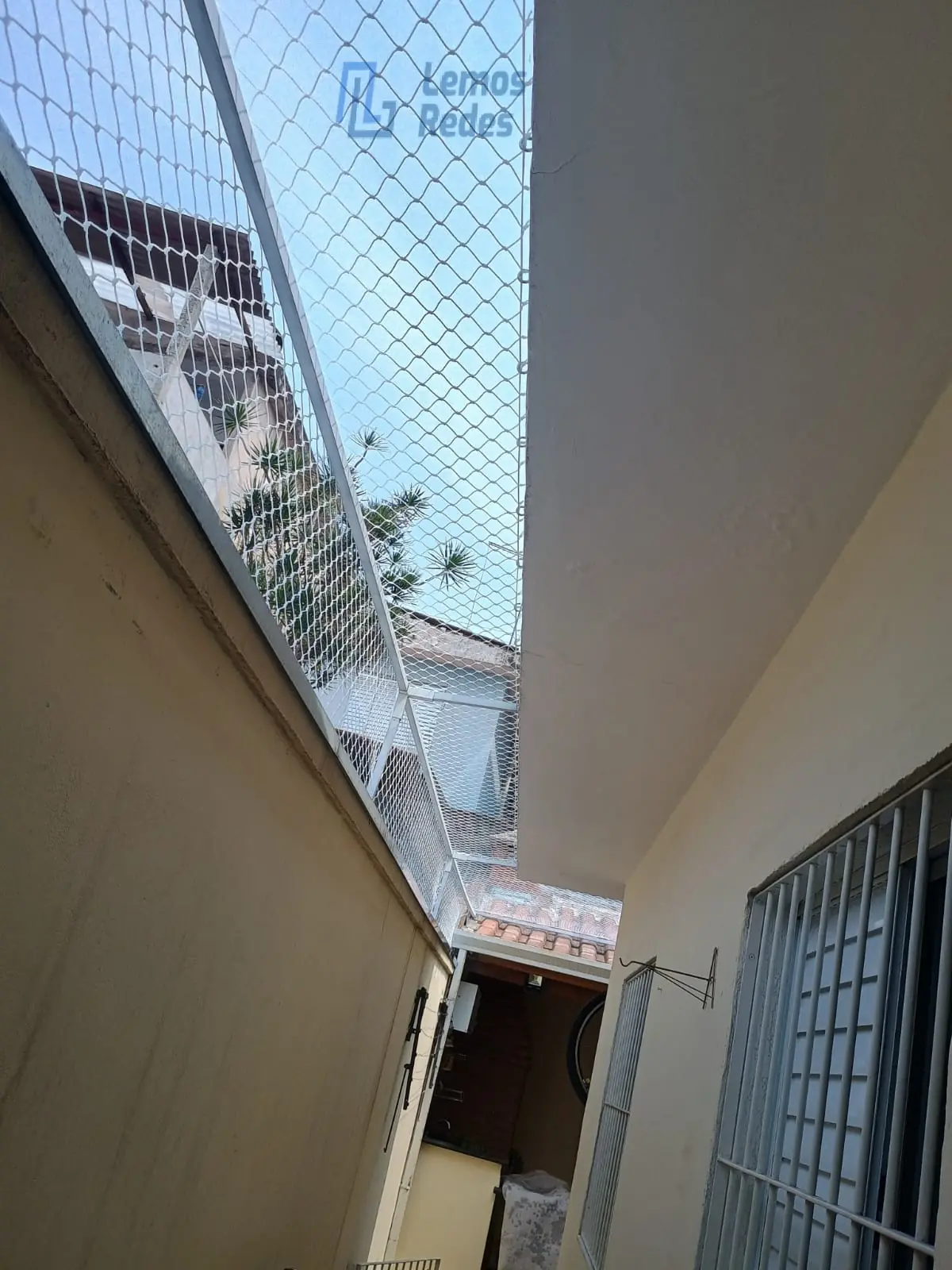 Rede Antifuga para Gatos, Redes Lemos