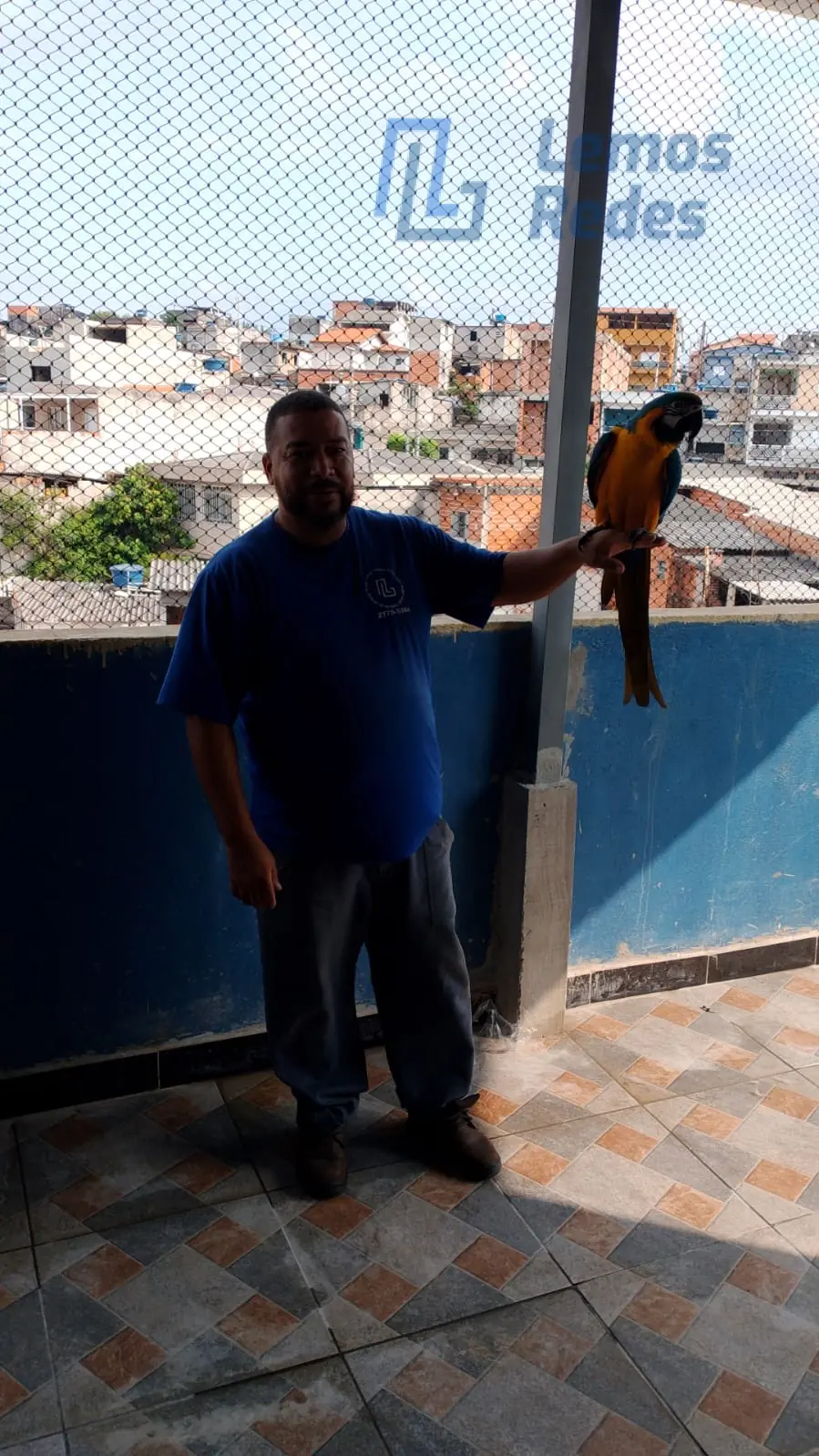 Proteção para Pets, Redes Lemos