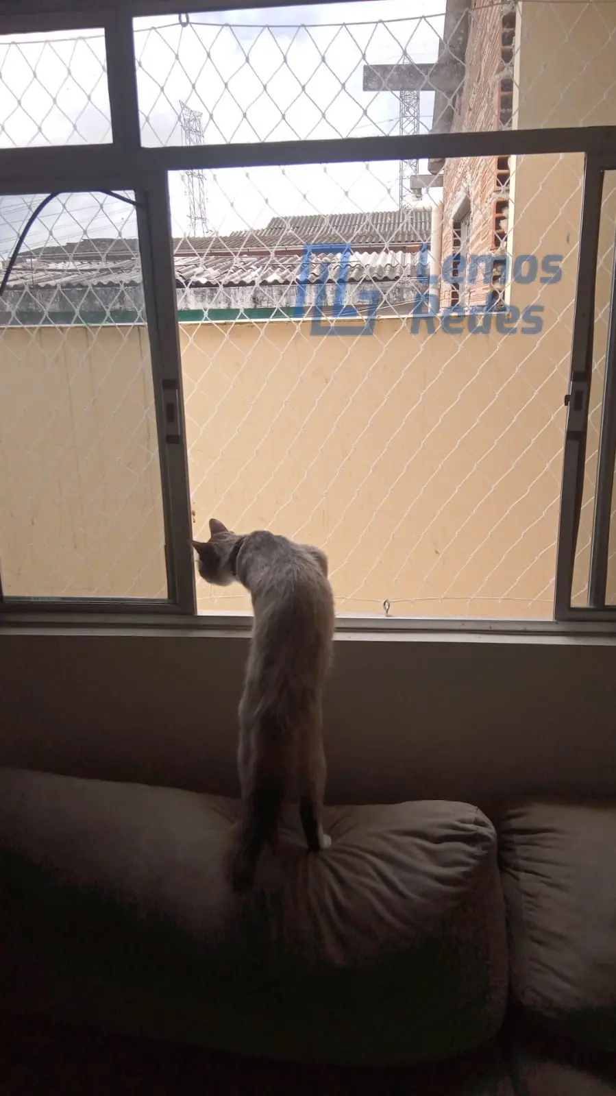 Proteção para Pets, Redes Lemos