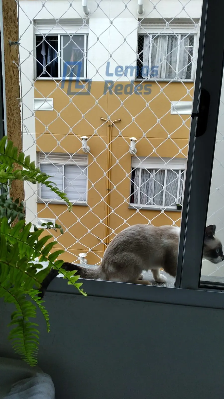 Proteção para Pets, Redes Lemos