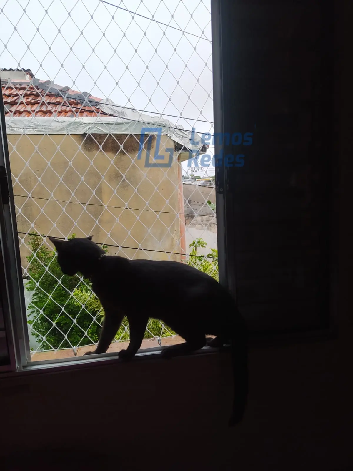 Proteção para Pets, Redes Lemos
