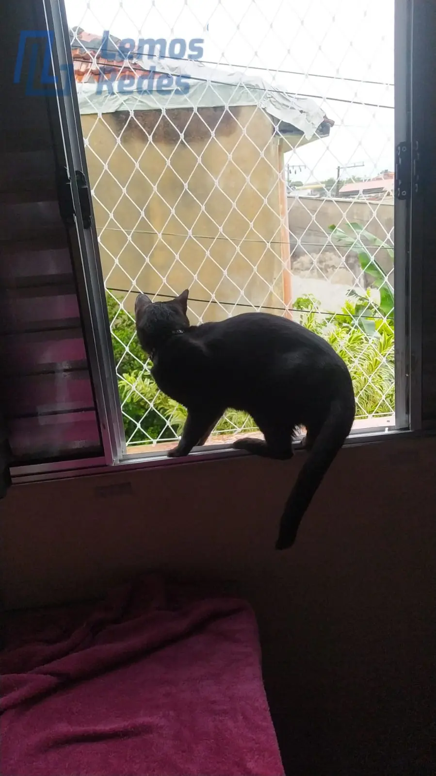 Proteção para Pets, Redes Lemos