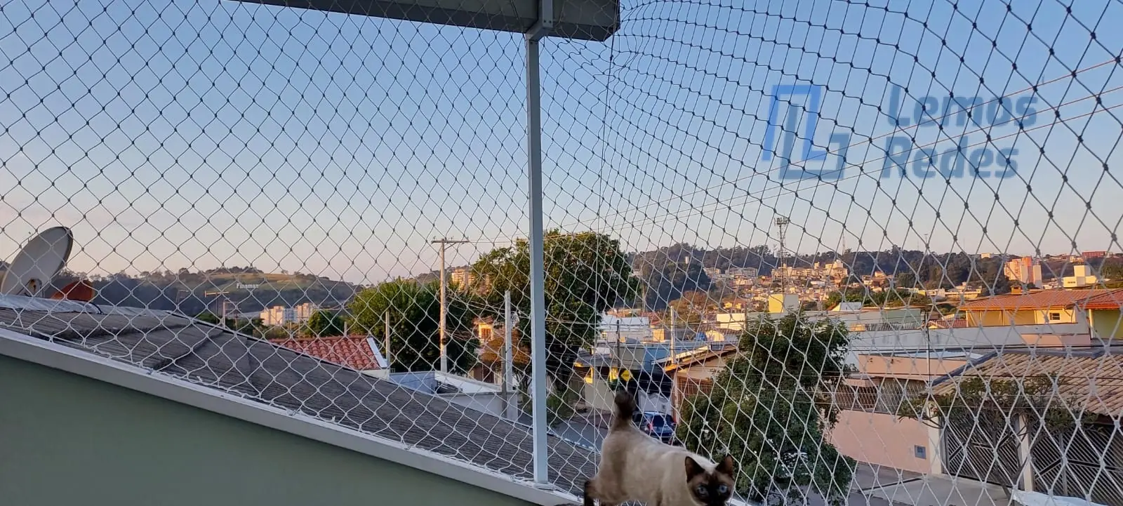 Proteção para Pets, Redes Lemos