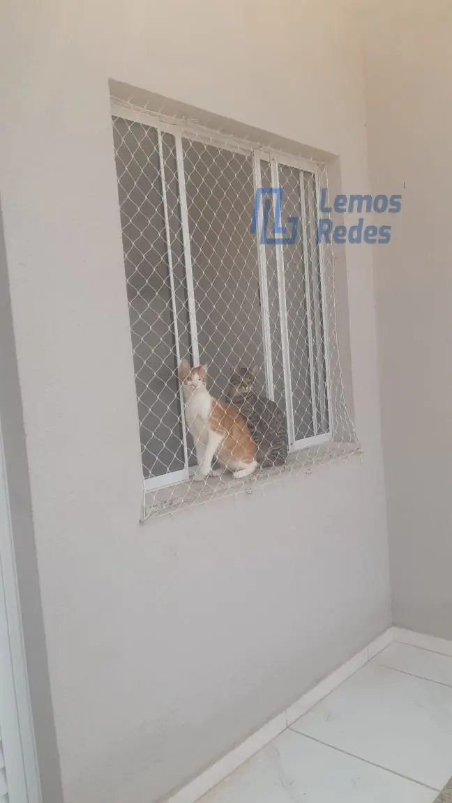 Proteção para Pets, Redes Lemos