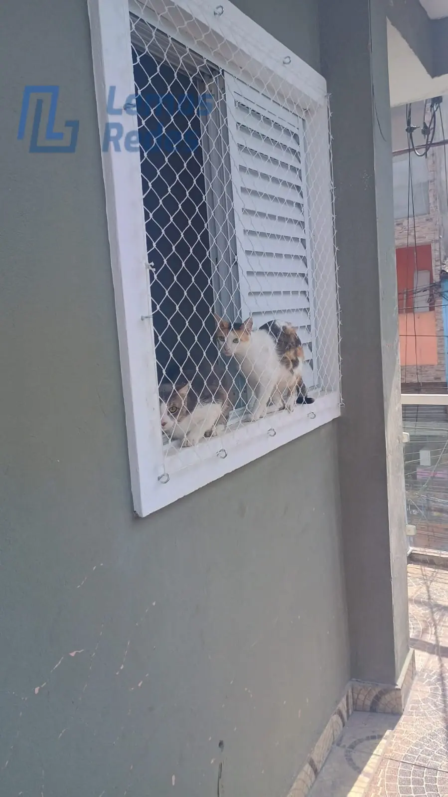 Proteção para Pets, Redes Lemos