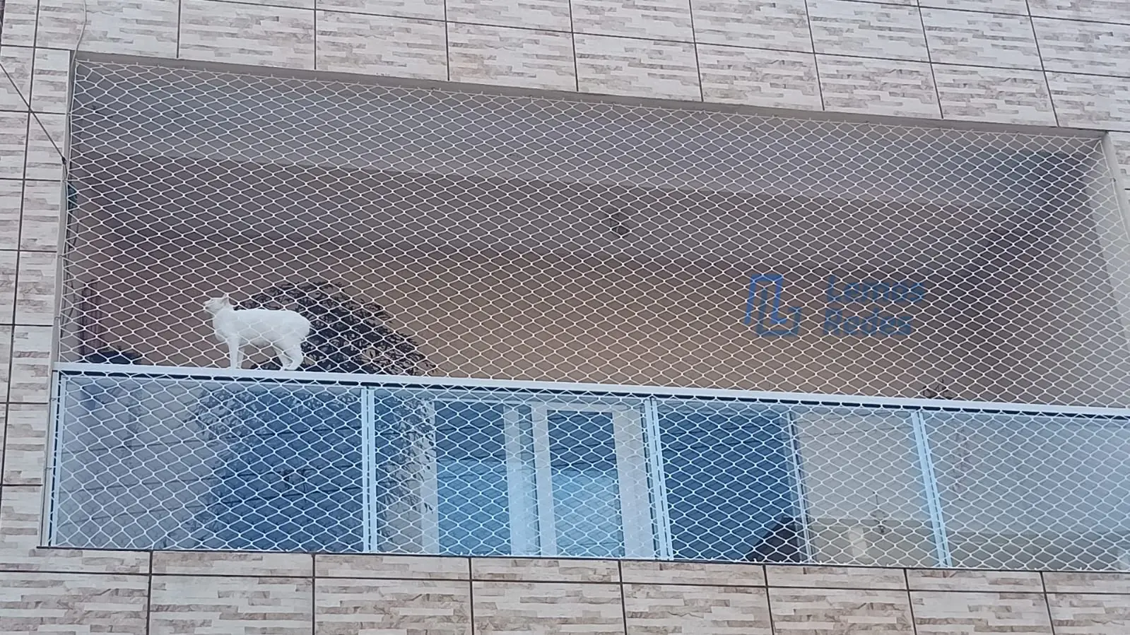 Proteção para Pets, Redes Lemos